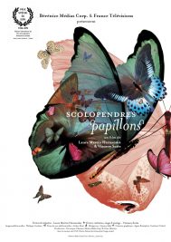 Scolopendres et papillons juillet 2019